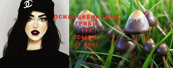 марки lsd Бугульма
