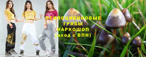 герыч Бородино