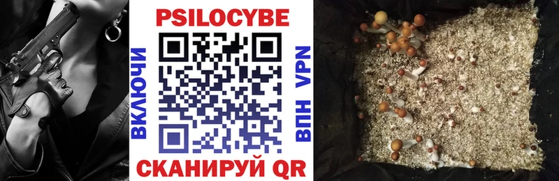 Псилоцибиновые грибы мицелий  Кольчугино 